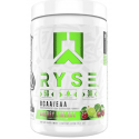 RYSE - BCAA + EAA 372 G